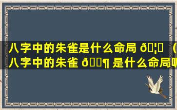 八字中的朱雀是什么命局 🦅 （八字中的朱雀 🐶 是什么命局呢）
